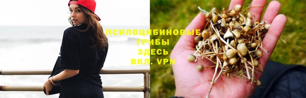 ПСИЛОЦИБИНОВЫЕ ГРИБЫ Алексин