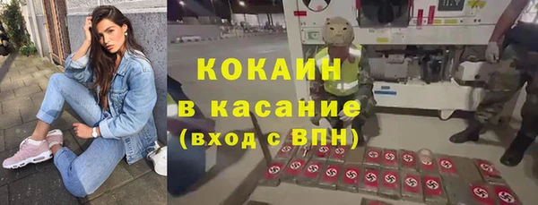 ПСИЛОЦИБИНОВЫЕ ГРИБЫ Алексин